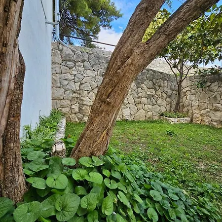 Paradise Garden With Free Parking * Split